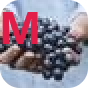 MoMoProxy